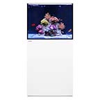 WATERBOX REEF 70.2 WHITE